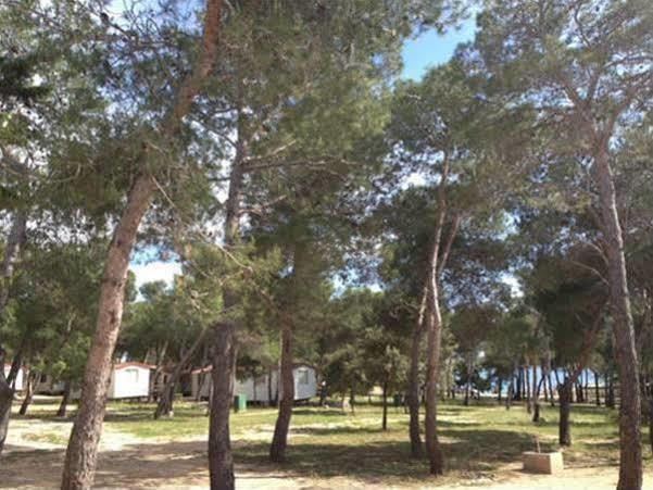Camp Porat Hotell Povljana Exteriör bild